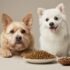 Top Dog Agility Toys & Training Gear for Active Canines