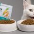 Stress-Free Cat Travel Tips: Long Distance Car & Plane Journeys