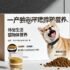 Best Smart Pet Camera Guide: Treat Dispensers & Night Vision