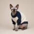 Automatic Self-Cleaning Cat Litter Box Guide: Pros & Reviews