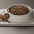 Complete Kitten Food Diet Plan: Feeding Growth & Energy