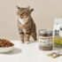 How to Choose the Best Cat Scratching Post for Furniture Protection